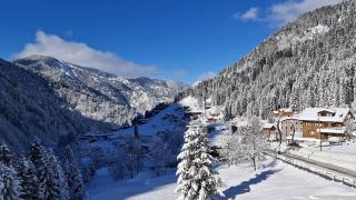 Ayder'e turist akını: 2022'de rekor kırıldı