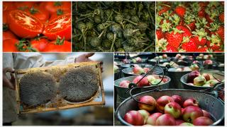 Türkiye'nin 10 lezzeti daha AB'de tescil yolunda