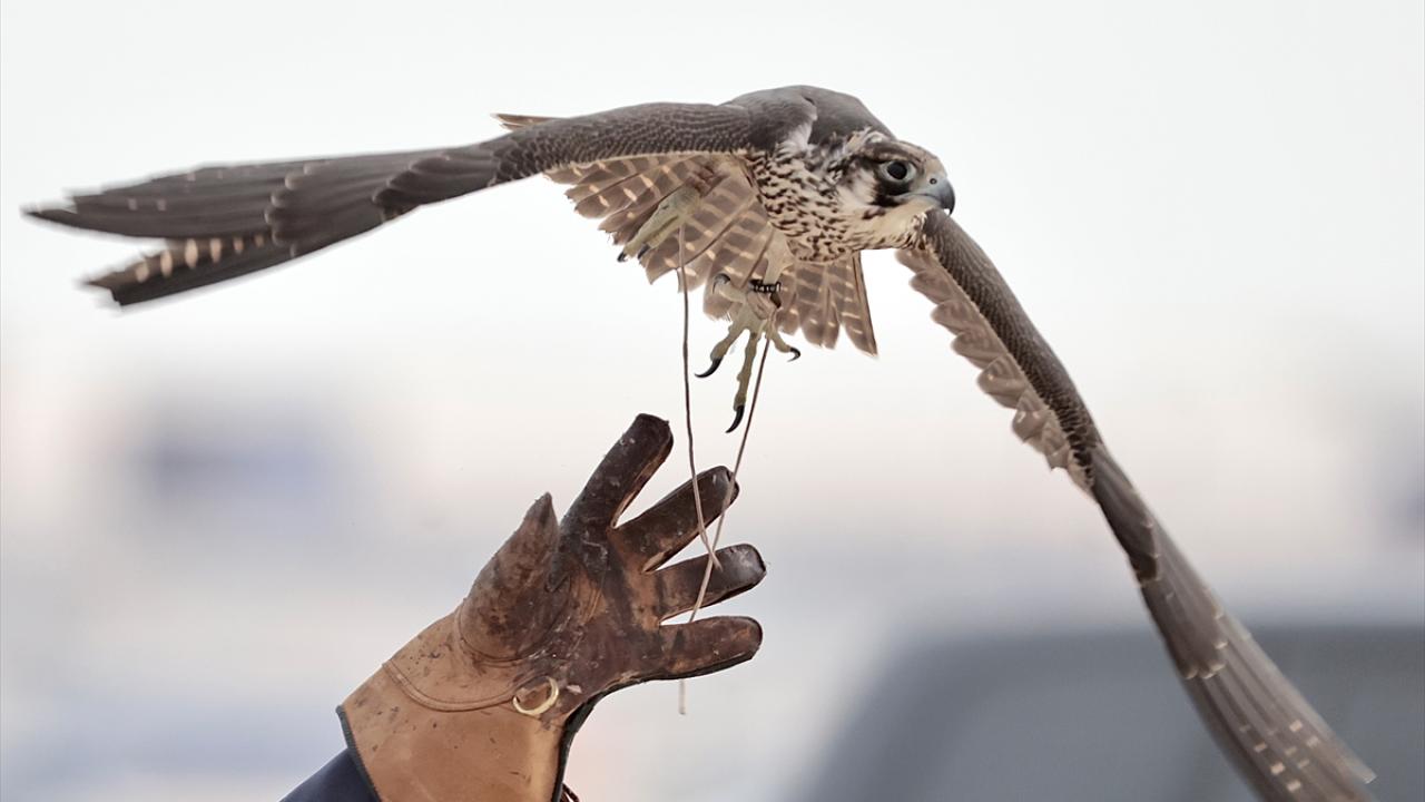 Mirası yaşatmak ve gelecek nesillere aktarmak amaçlanıyor
