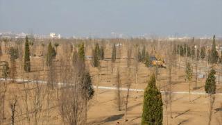 Bakan Kurum'dan Atatürk Havalimanı Millet Bahçesi paylaşımı