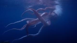 Nadir görülen dev kalamar Japon çiftin kadrajına yakalandı