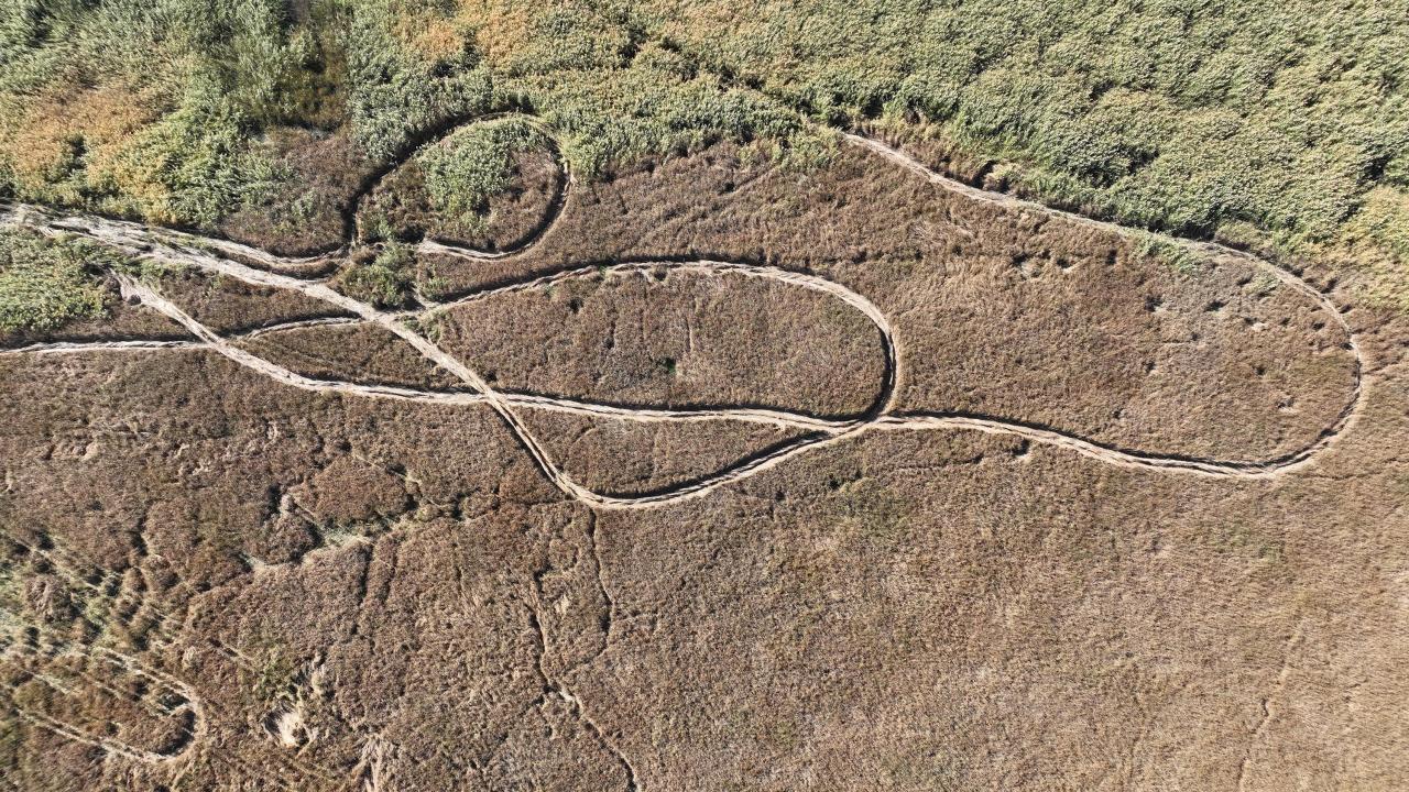 Bilimsel çalışma yapılmalı