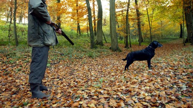 ABDde tüfeğin tetiğine basan köpek, sahibini öldürdü