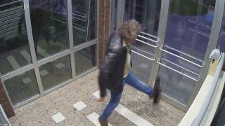 Apartmandan çıkmaya çalışan kediyi defalarca tekmeledi