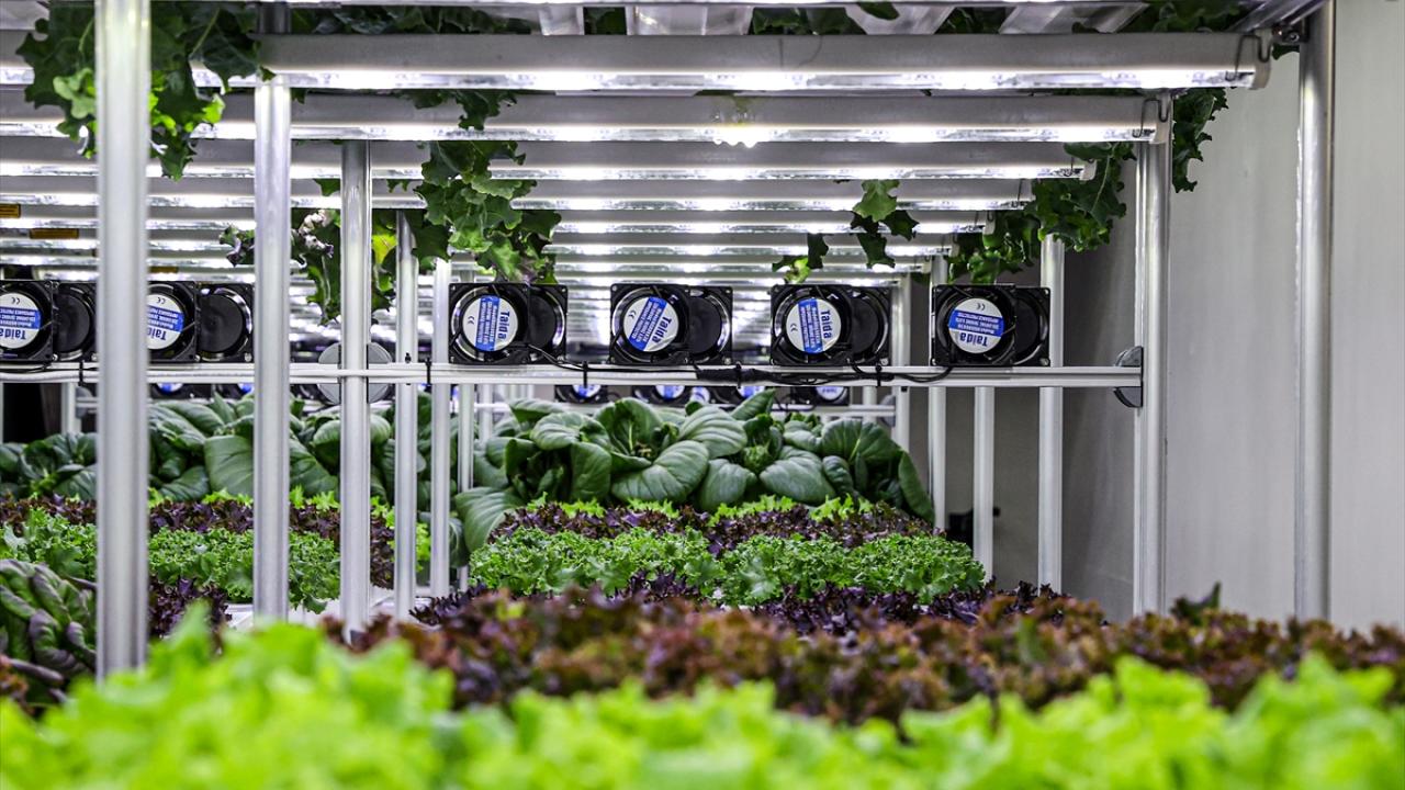 "Taahhüt verebilecek kapasitedeyiz"