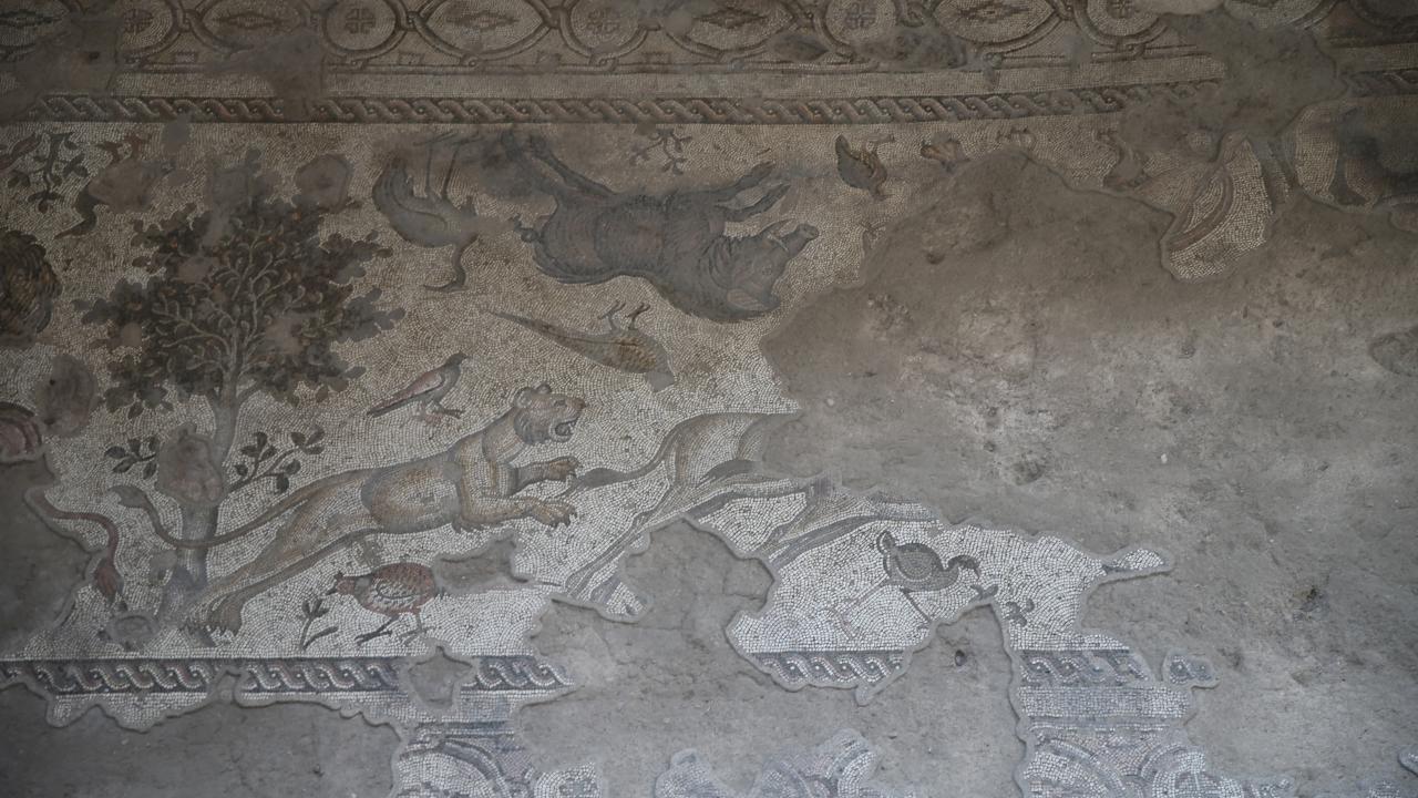 En büyük tek parça taban mozaiği Necmi Asfuroğlu Müzesi`nde