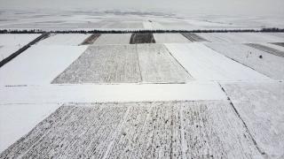 Eskişehir'de kar, suya hasret tarım arazilerine ilaç gibi geldi