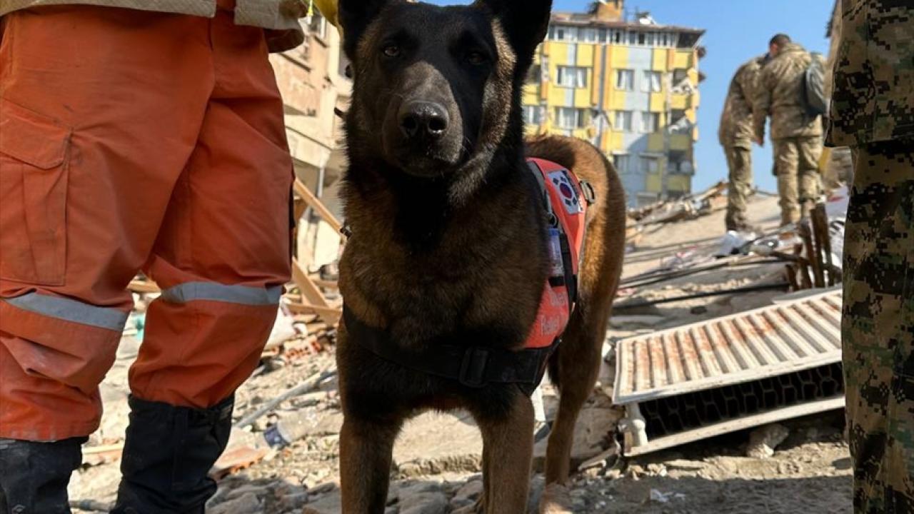 GÜNEY KORE`NİN BUGÜNE KADAR YURT DIŞINDAKİ EN BÜYÜK ARAMA KURTARMA OPERASYONU