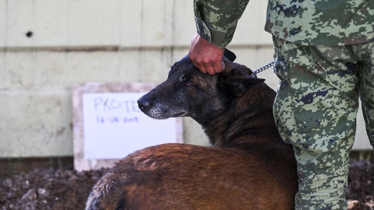 "HER ZAMAN SAHAYA ÇIKTIĞIMIZDA BİRBİRİMİZE DESTEK OLUYORDUK"