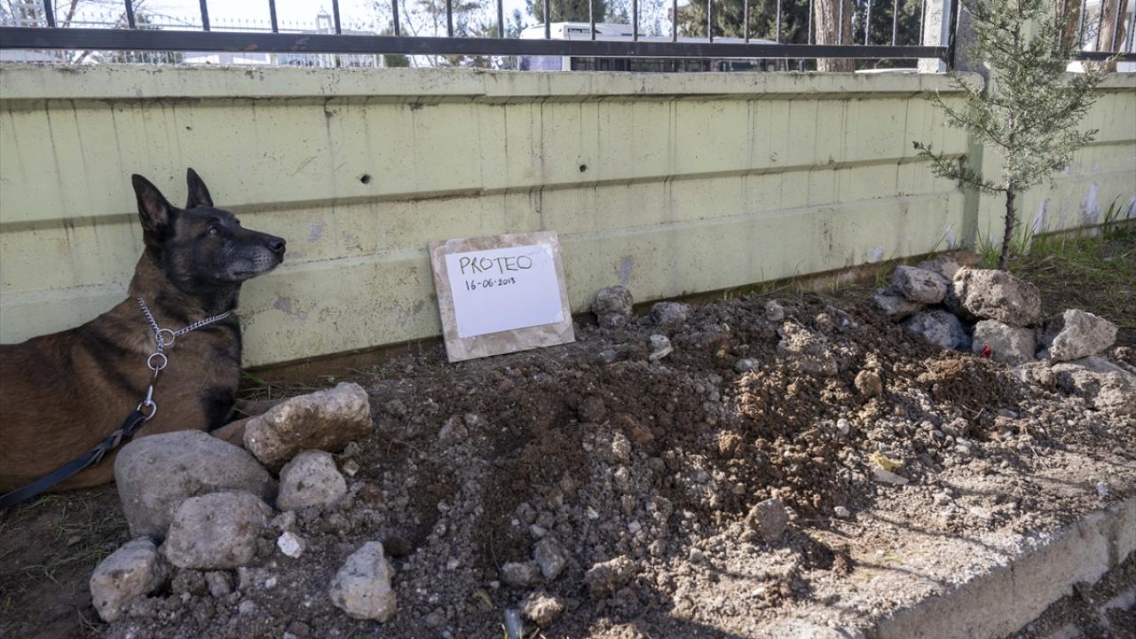 "BİR KÖPEKTEN ZİYADE BİZİM İÇİN BİR DOST KURTARICIYDI"