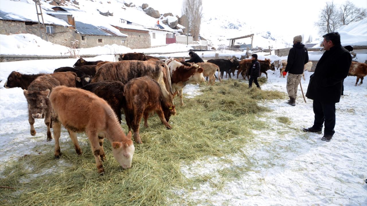 "Herkes `bir dana verelim` dedi"