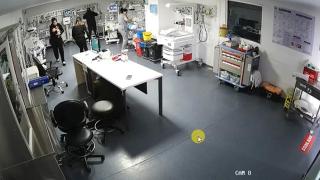 Hastaneden kaçmak yerine yenidoğan bebekleri korudular