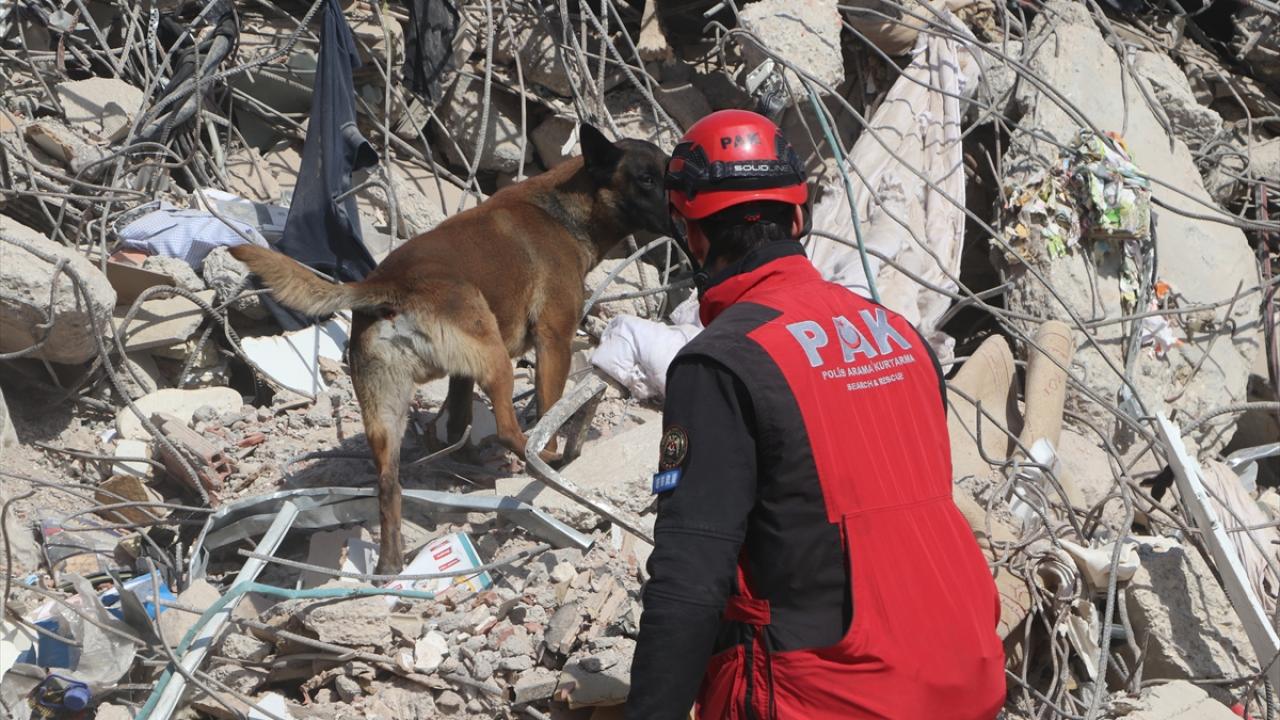 "Şu ana kadar 346 vatandaşı sağ çıkardık"
