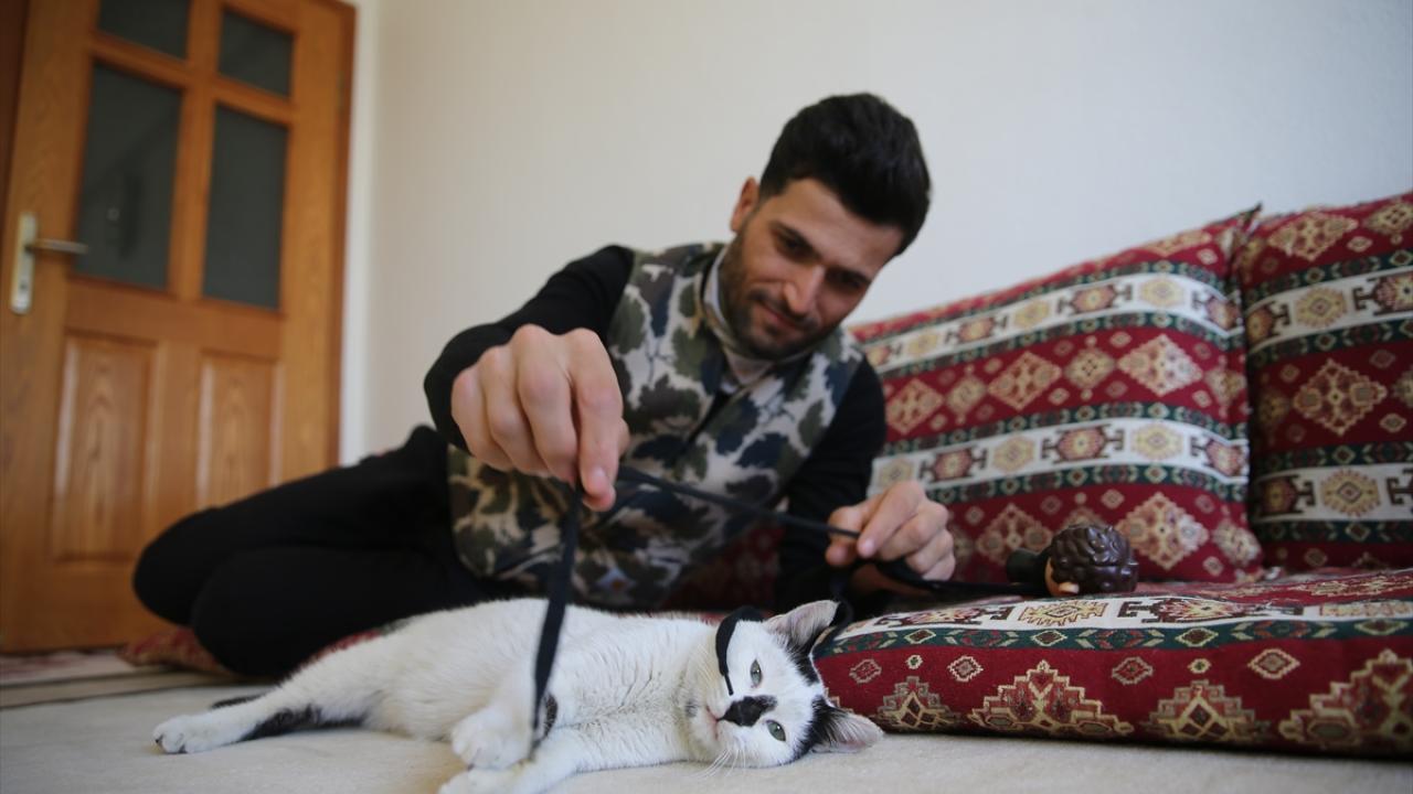 "Kedi benden ayrılmadı, ben de ondan ayrılmadım"