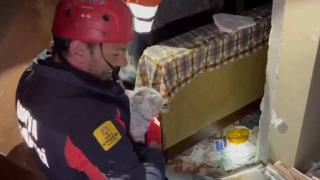 Depremde 11 gündür mahsur kalan kedi kurtarıldı