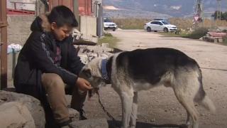 Enkazdan can dostu kurtardı