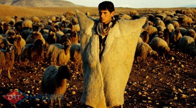 2 bin Liraya Çoban Bulunamıyor