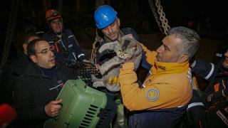 'Zena' isimli kedi kurtarıldı