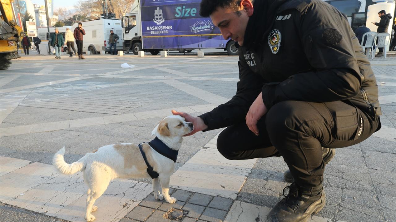 "Evimde besleyeceğim"