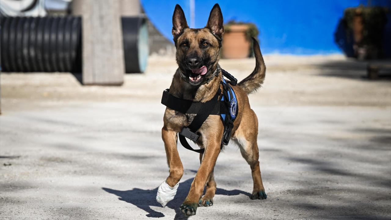 Afet bölgesindeki çalışma nasıl yapılıyor?