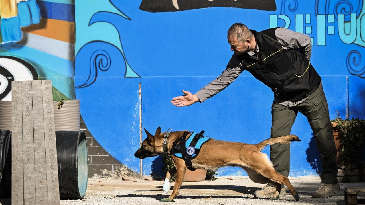 Derneğin arama kurtarma ekibi 30 afetzedeyi enkazdan canlı çıkardı