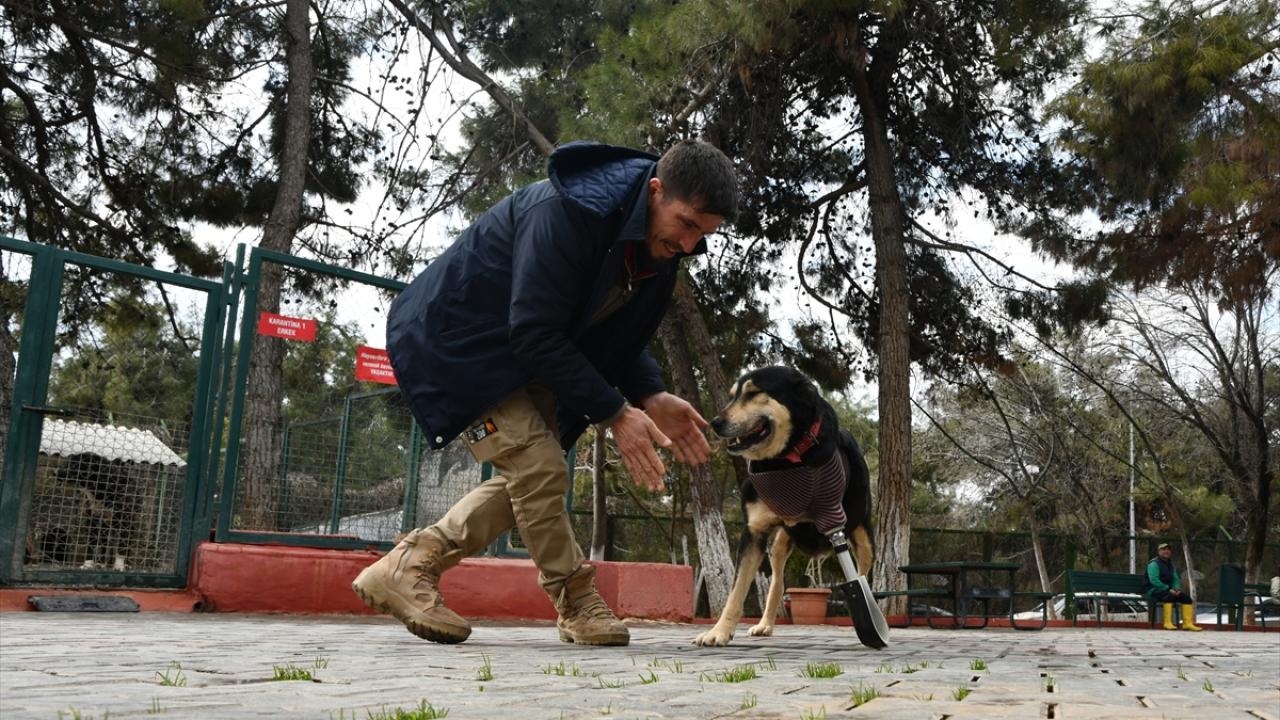 "Özel ilgi gösteriyoruz"