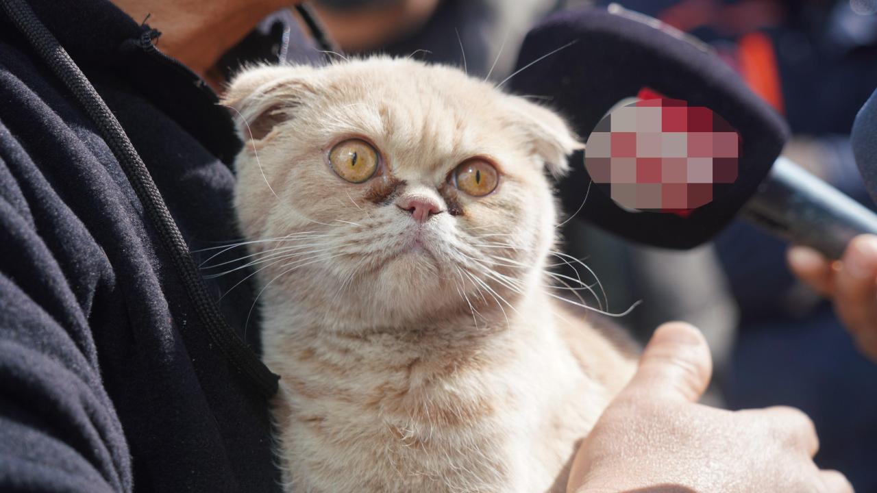 "Bu devlet neleri atlattı, bunu da atlatacak inşallah"