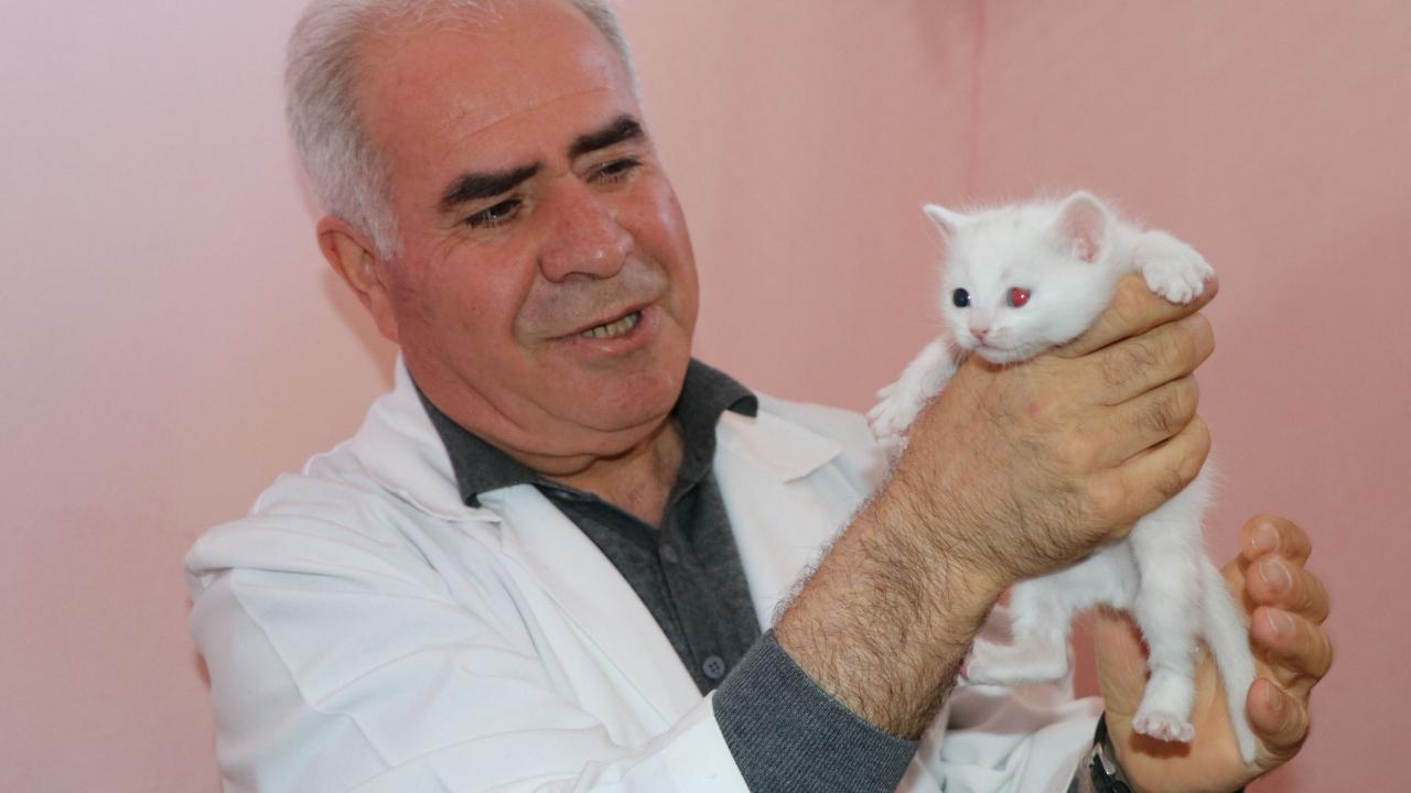 "Bunları seve seve kabul ettik"