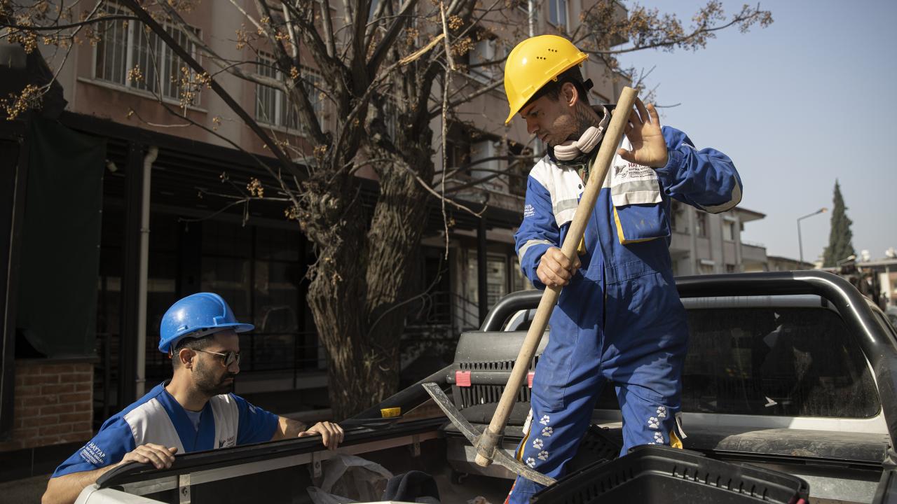 "84 kedi, 7 köpek kurtardım"