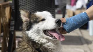 "Aleks" depremin 22. gününde canlı kurtarıldı