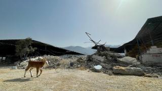 Besicilerin yaraları devlet eliyle sarılıyor