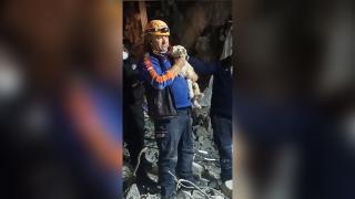 Depremin 25. gününde enkazdan bir köpek canlı kurtarıldı
