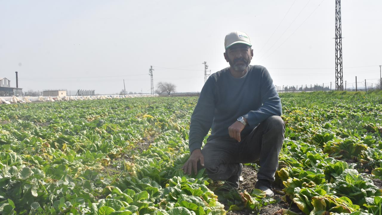 Çevre illere "ürünlerimizi satın alın" çağrısı