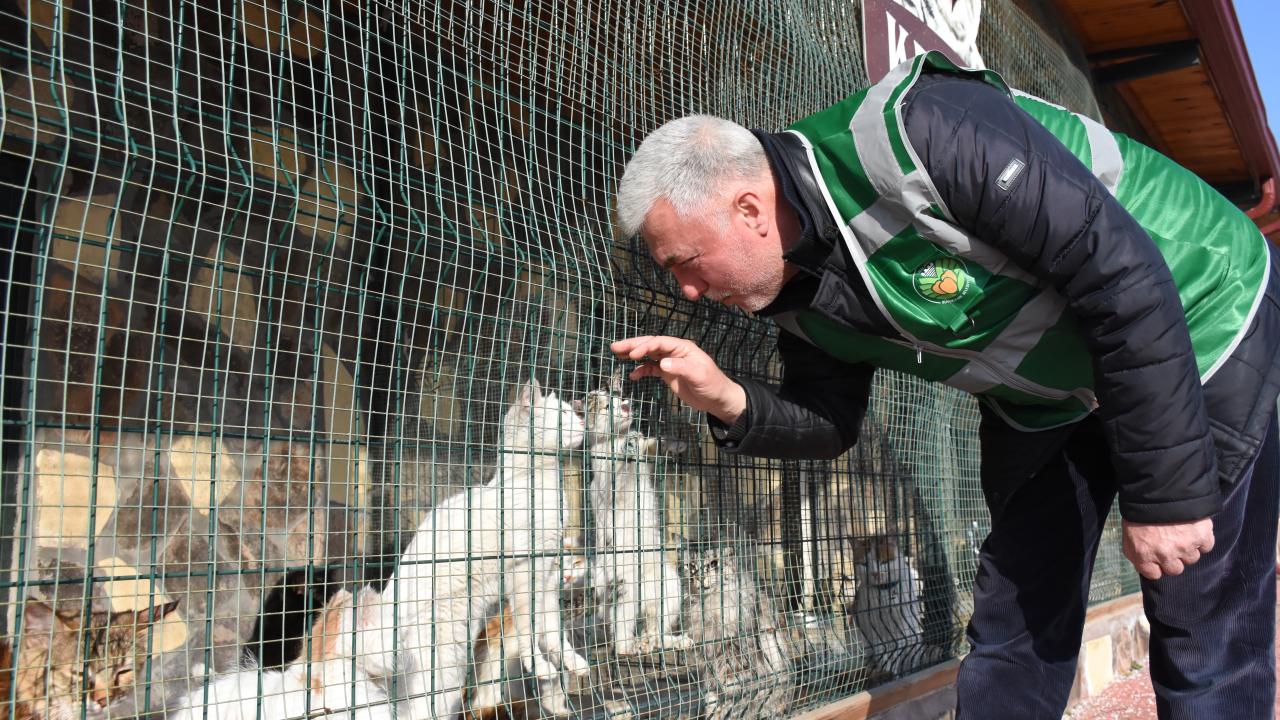 30 tona yakın kedi ve köpek maması dağıtıldı