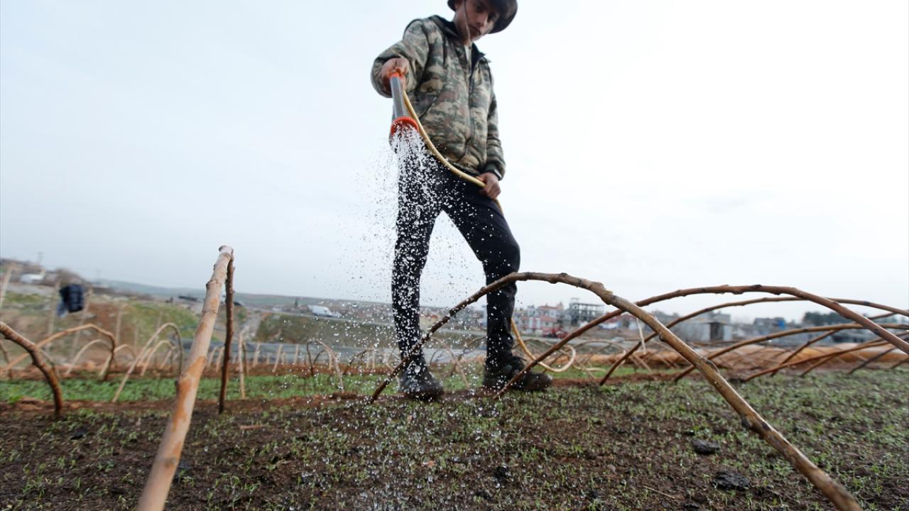 "Bazı tarlalarda deprem dolayısıyla çatlaklar ve yarıklar var"