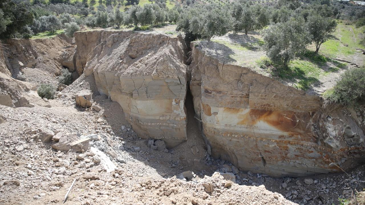 "Bu tarla birleşikti"