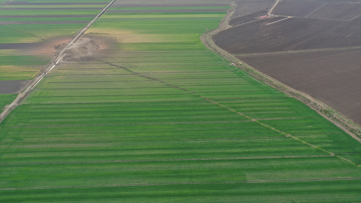 "Son 500 yıldaki en büyük deprem olduğunu söyleyebiliyoruz"