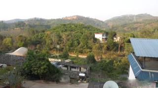 Çin'de çay ve kahve bahçeleri iç içe