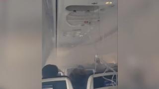 Kuşlara çarpan uçak, Küba'ya acil iniş yaptı