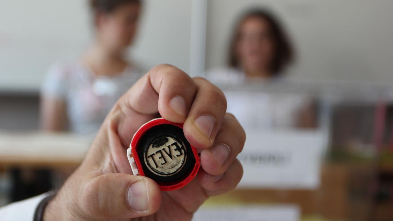 10 soruda Cumhurbaşkanı ve milletvekili seçimi