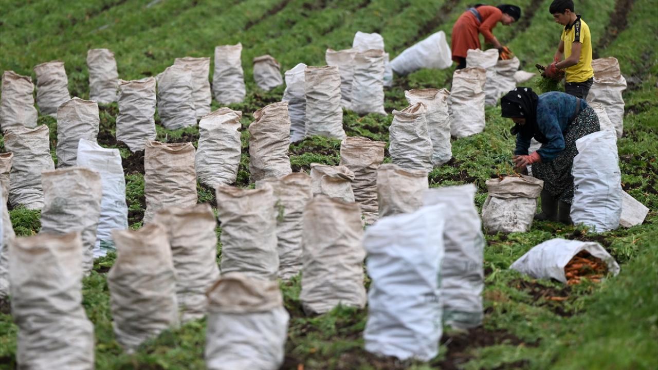 "İşle uğraşırken unutmak daha kolay"