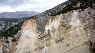 Depremler yaban hayatını da olumsuz etkiledi