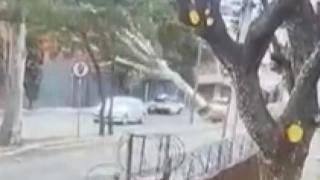 Meksika’da şiddetli rüzgar ağaçları devirdi: 5 yaralı