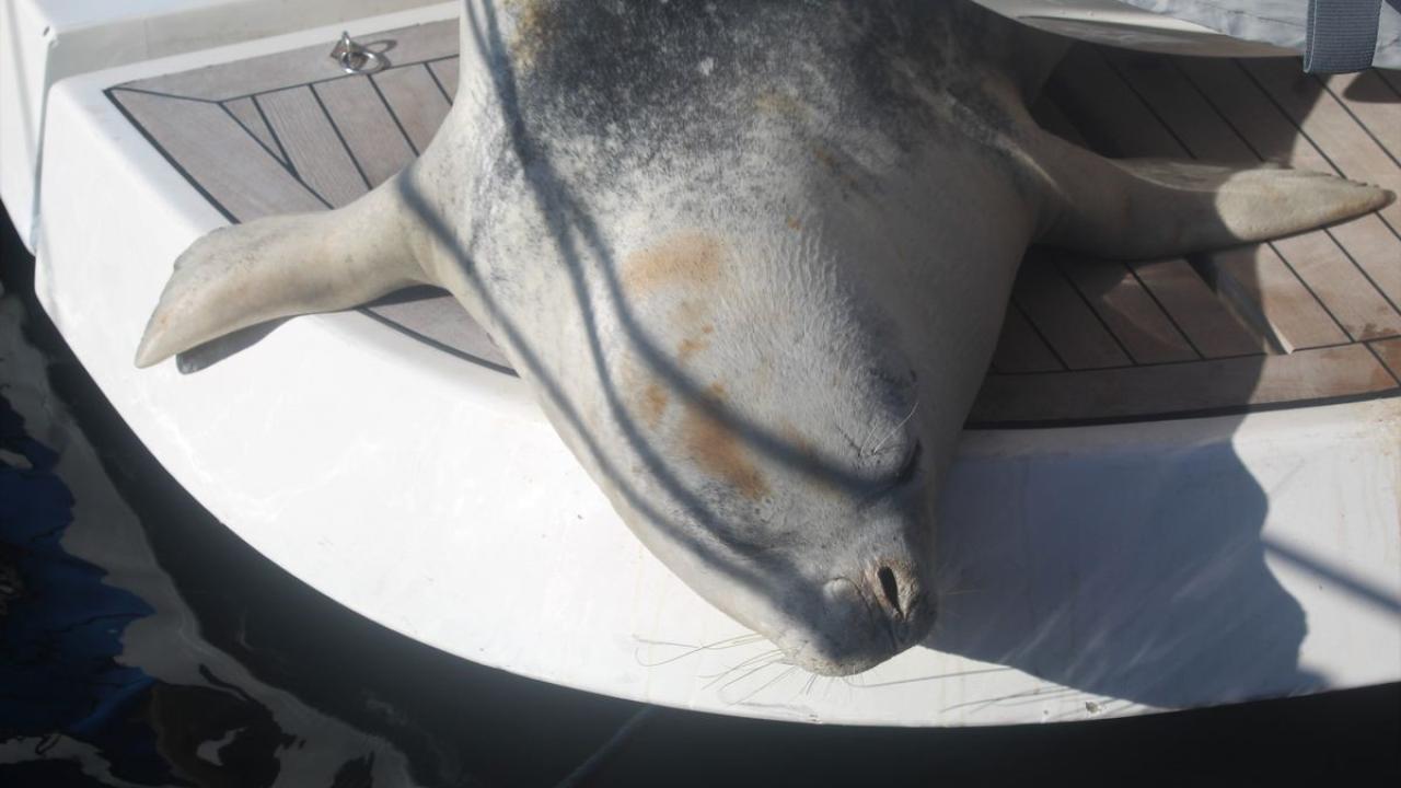 “Yaşam alanları korunmalıdır”