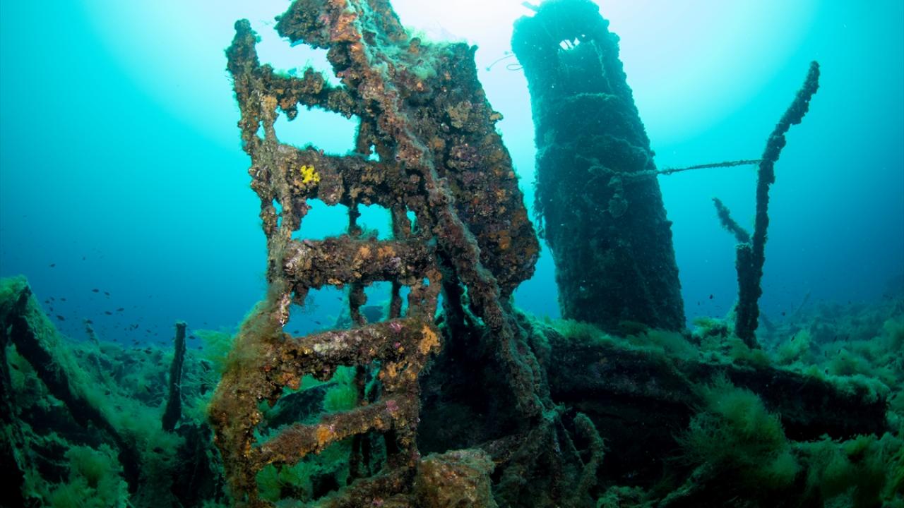 Türkiye`nin batık envanterinin zenginliği