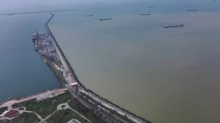 Samsun'da deniz kahverengiye döndü