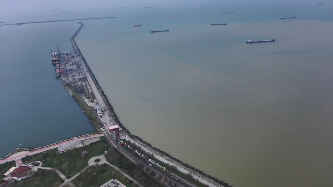 Samsun da Deniz Kahverengiye D nd TRT Haber Foto Galeri Samsun da Deniz Kahverengiye D nd TRT Haber Foto Galeri