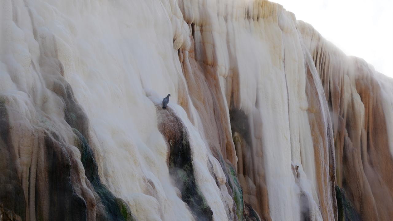 Misk ve çamur banyosu