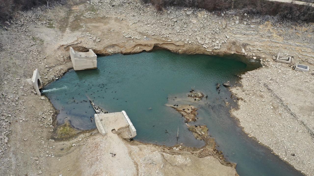 "Önceden ördekler kuğular gelirdi"