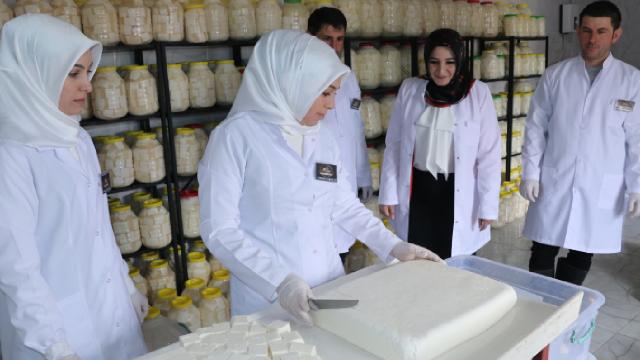 Yozgat’ta kooperatif kuran kadınlar köylülerden topladıkları sütle çömlek peyniri yapıyor
